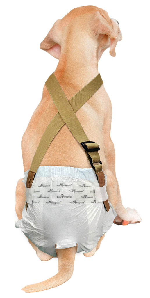 Female dog diapers with suspenders online