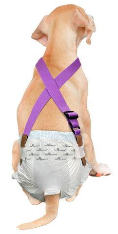 Paw Inspired Washable and Disposable Dog Diaper Suspenders, Purple