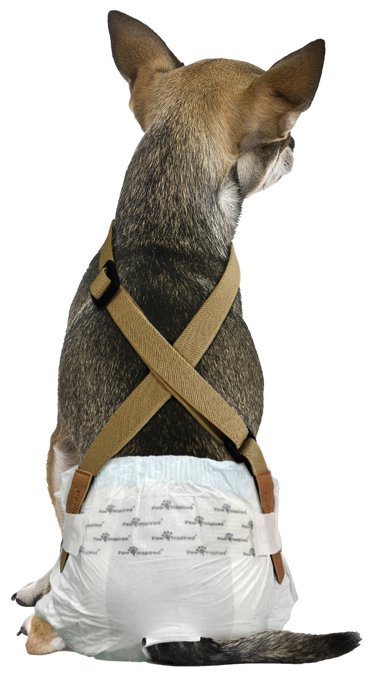 Paw Inspired Washable and Disposable Dog Diaper Suspenders, Brown