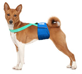 Paw Inspired Washable and Disposable Dog Diaper Suspenders, Aqua