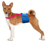 Paw Inspired Washable and Disposable Dog Diaper Suspenders, Pink