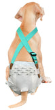 Paw Inspired Washable and Disposable Dog Diaper Suspenders, Aqua
